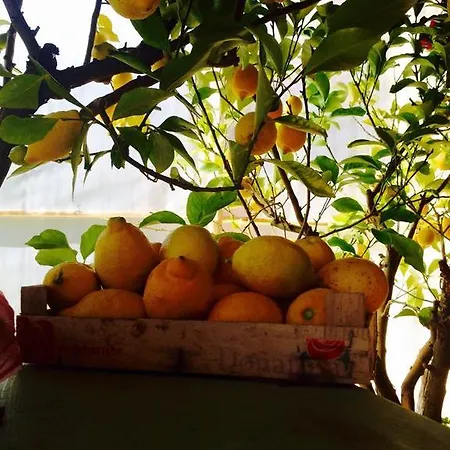 Country Il Moro فندق مبيت وإفطار 2*