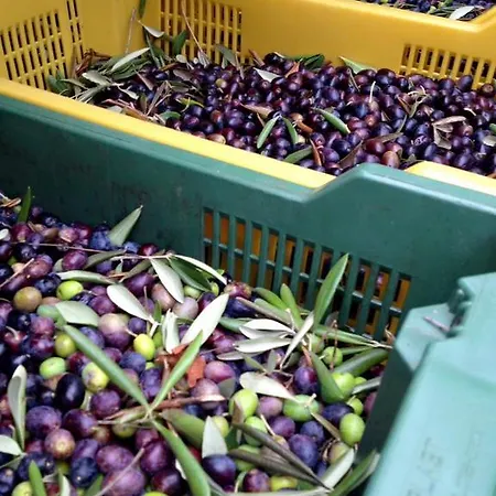 Country Il Moro فندق مبيت وإفطار 2*