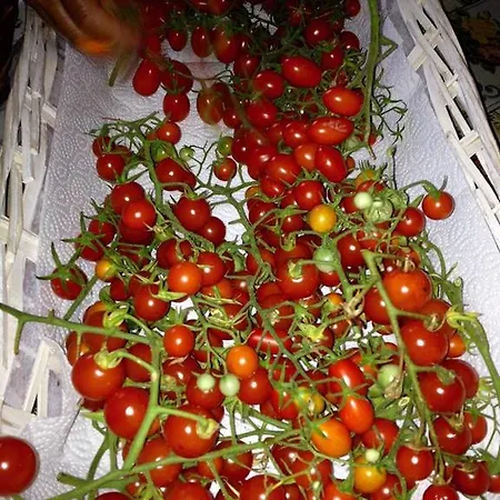 Country Il Moro فندق مبيت وإفطار Rignano sullʼArno