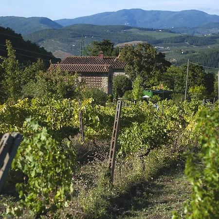 Country Il Moro 2*
