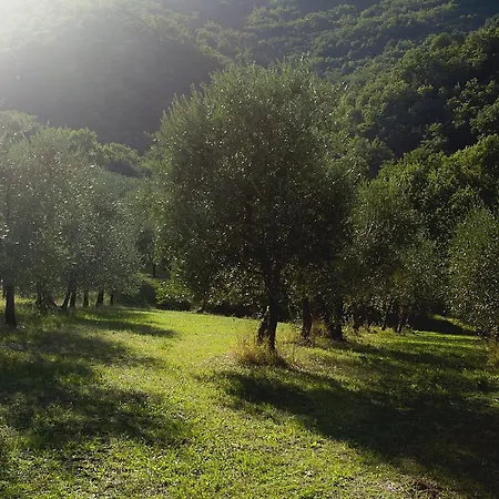 Bed & Breakfast Country Il Moro Rignano Sull Arno