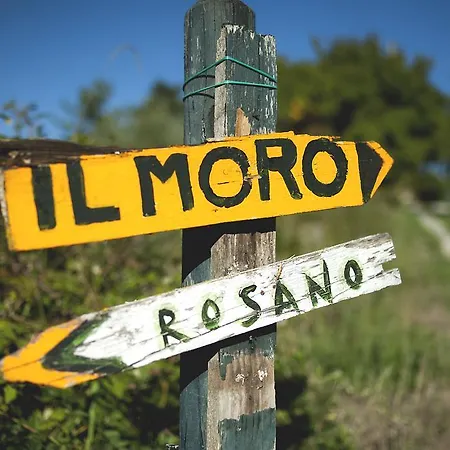 Country Il Moro Bed & Breakfast